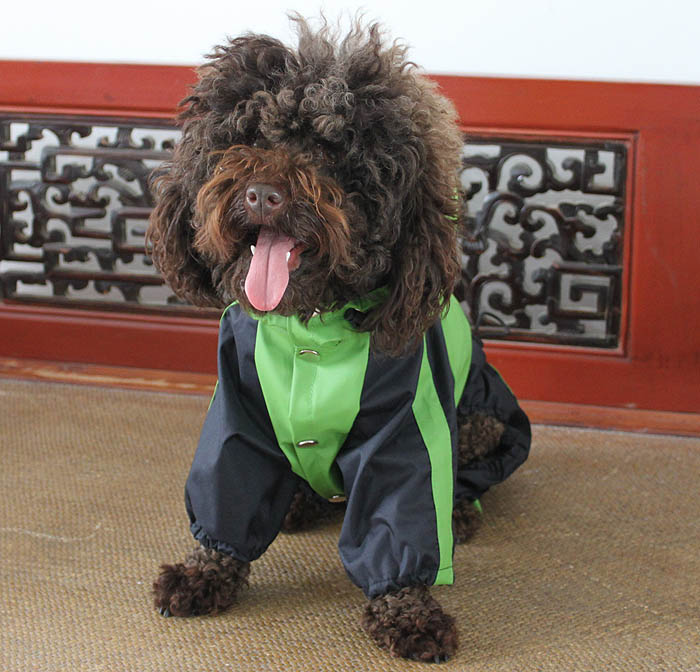 lovelonglong Dog Raincoat
