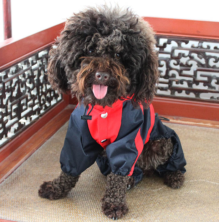 lovelonglong Dog Raincoat