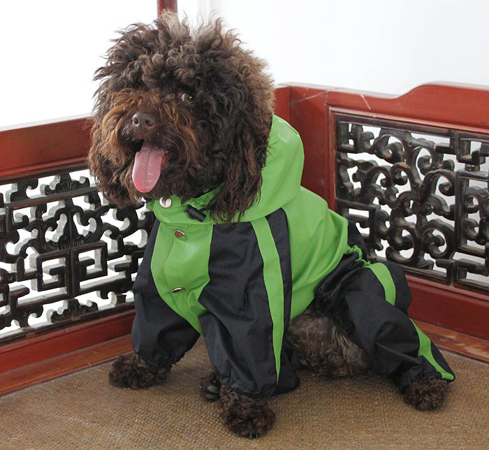 lovelonglong Dog Raincoat
