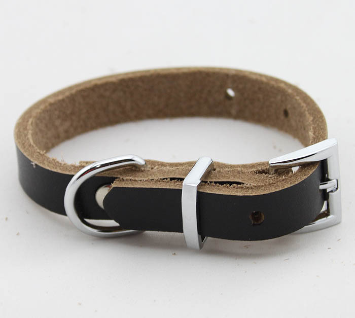 Genuine leather Dog collar 5 color Blank Genuine leather Dog collar 5 color Blank