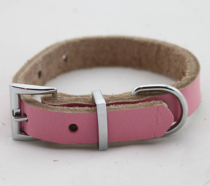 Genuine leather Dog collar 5 color Blank Genuine leather Dog collar 5 color Blank
