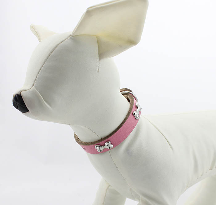 Genuine leather Dog collar 5 color Bones Genuine leather Dog collar 5 color Bones