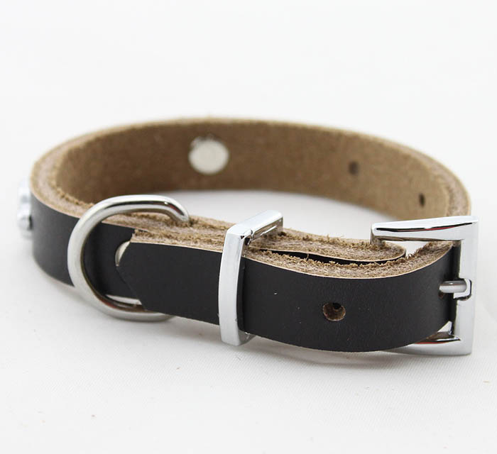 Genuine leather Dog collar 5 color Paws Genuine leather Dog collar 5 color Paws