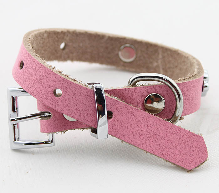 Genuine leather Dog collar 5 color Paws Genuine leather Dog collar 5 color Paws