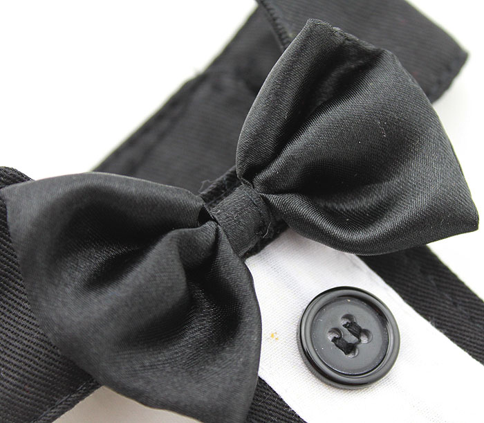 Dog Tie Collar