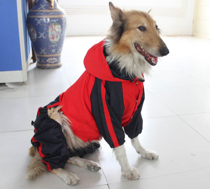 Large Dog Clothes wholesale Dog Raincoat