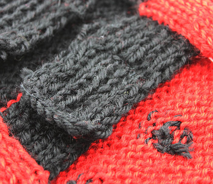 hexapod-beetle Manteau
