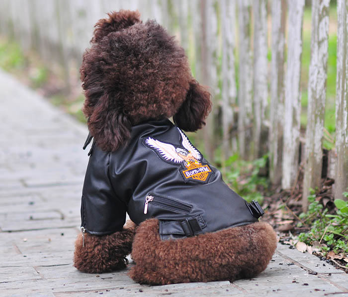 Dog eagle design leather Jacket