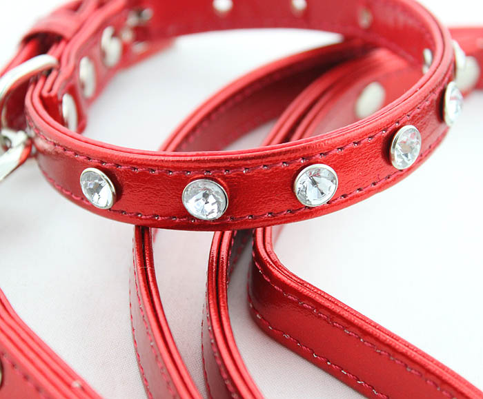 Rhinestones collars and leashes(dozen) Rhinestones collars and leashes(dozen)