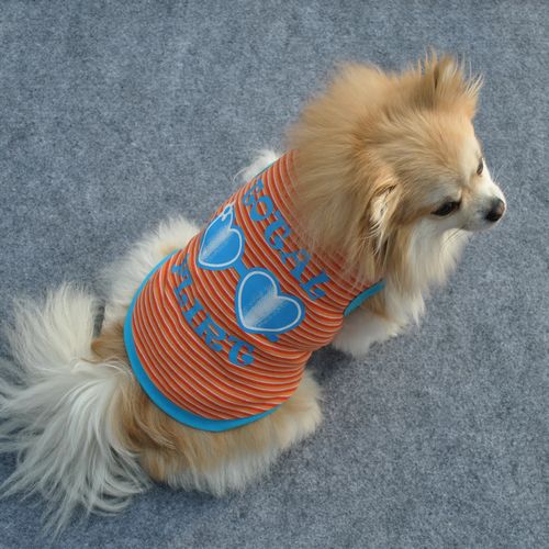 Dog T-shirt tank top printed Dog T-shirt tank top printed