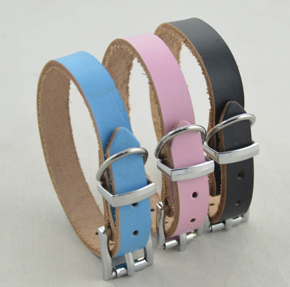 Download Genuine leather Dog collar 5 color Blank