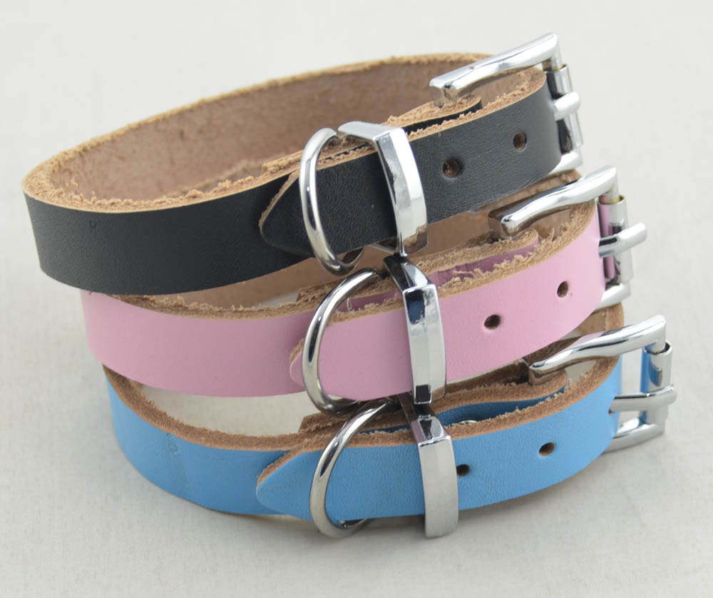 Genuine leather Dog collar 5 color Blank Genuine leather Dog collar 5 color Blank