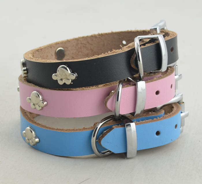 Genuine leather Dog collar 5 color Paws Genuine leather Dog collar 5 color Paws