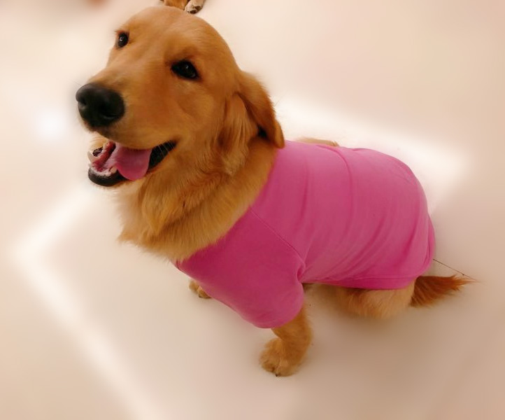 Dog Sweatshirts Pullover T-shirts