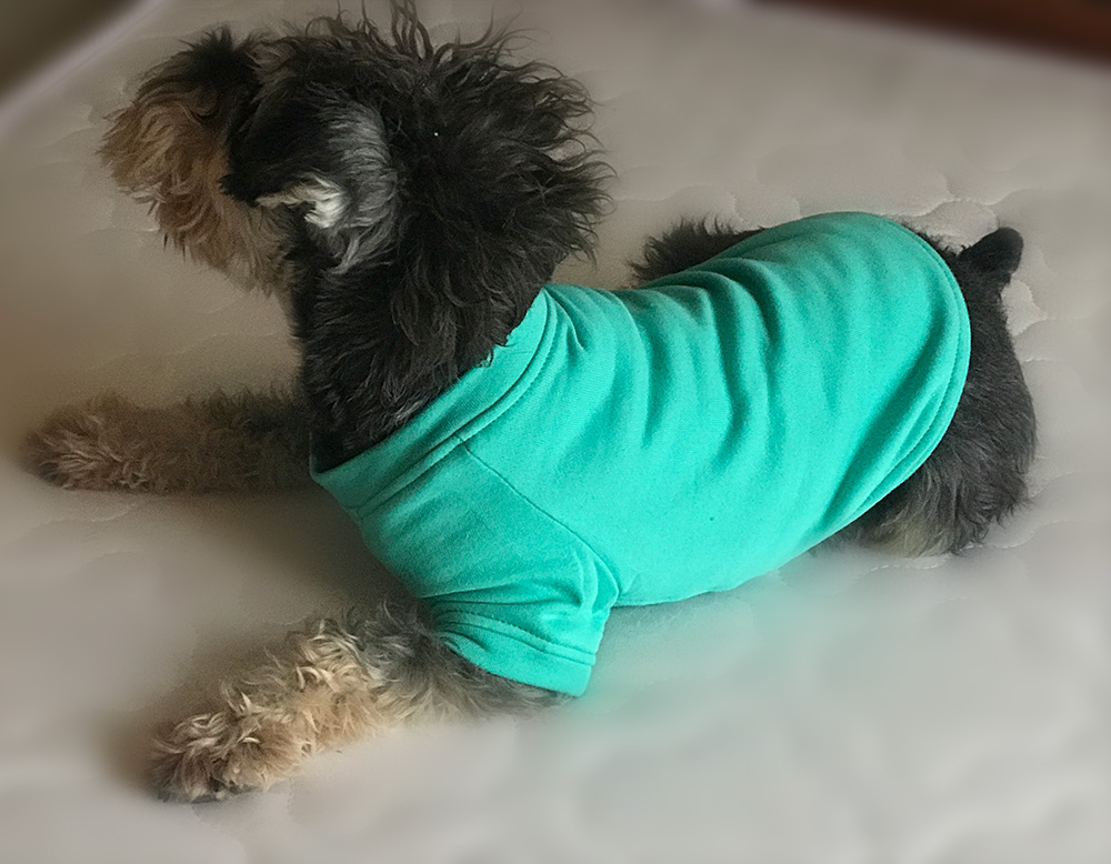 Dog Sweatshirts Pullover T-shirts