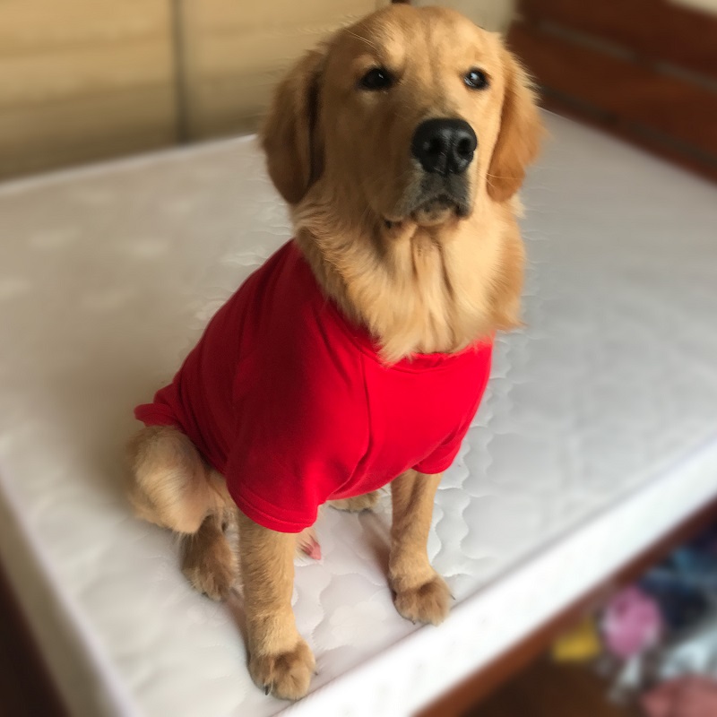 Dog Sweatshirts Pullover T-shirts
