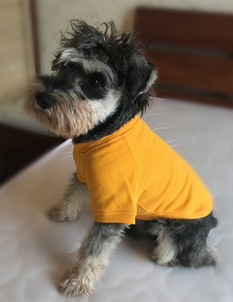 Dog Sweatshirts Pullover T-shirts