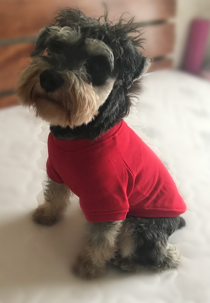 Dog Sweatshirts Pullover T-shirts