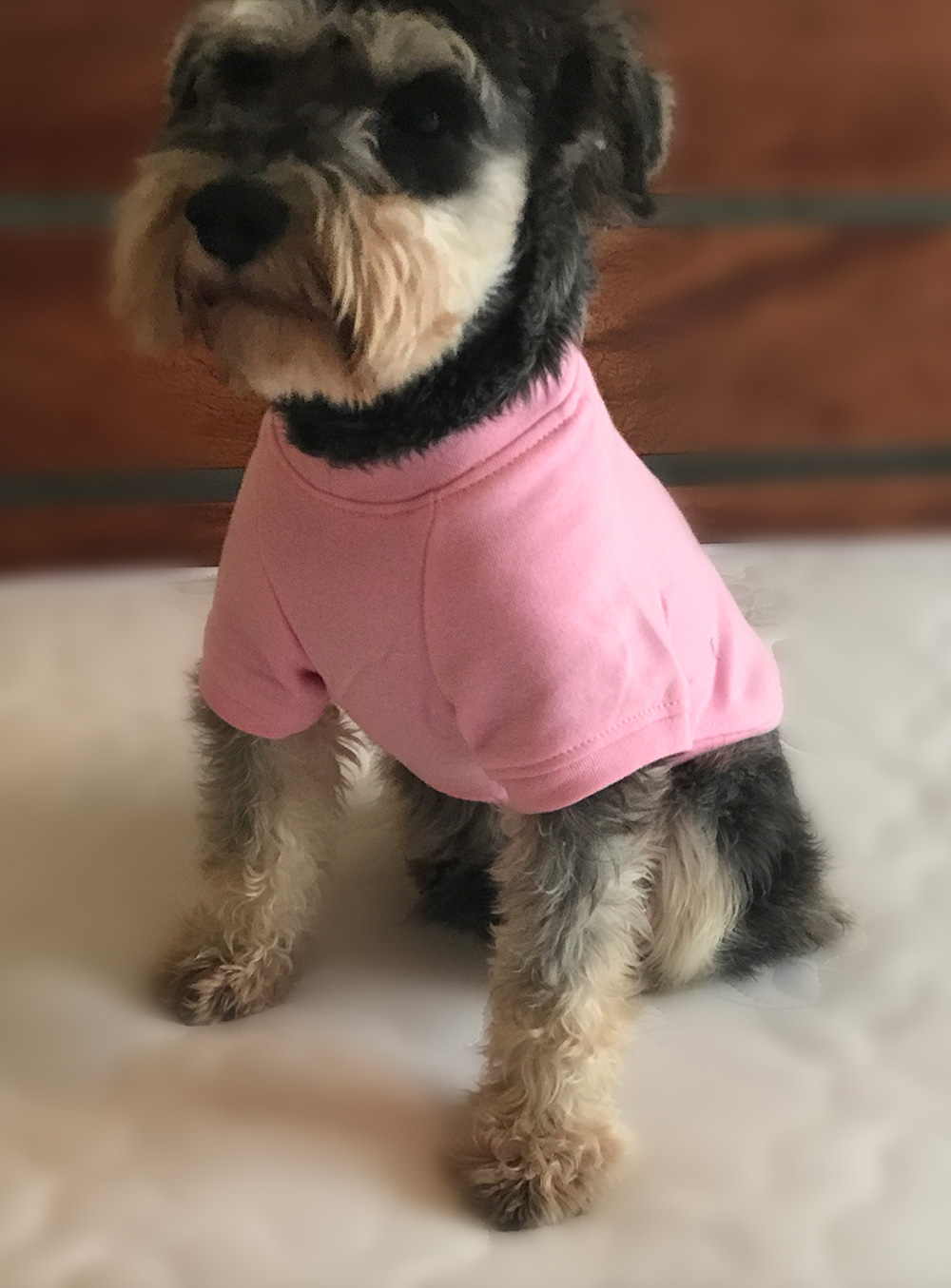 Dog Sweatshirts Pullover T-shirts