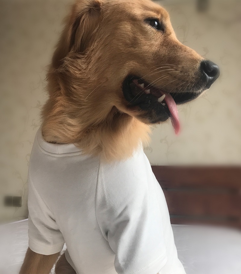 Dog Sweatshirts Pullover T-shirts
