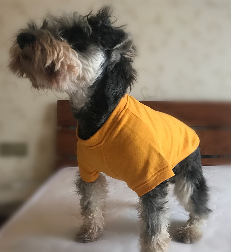 Dog Sweatshirts Pullover T-shirts