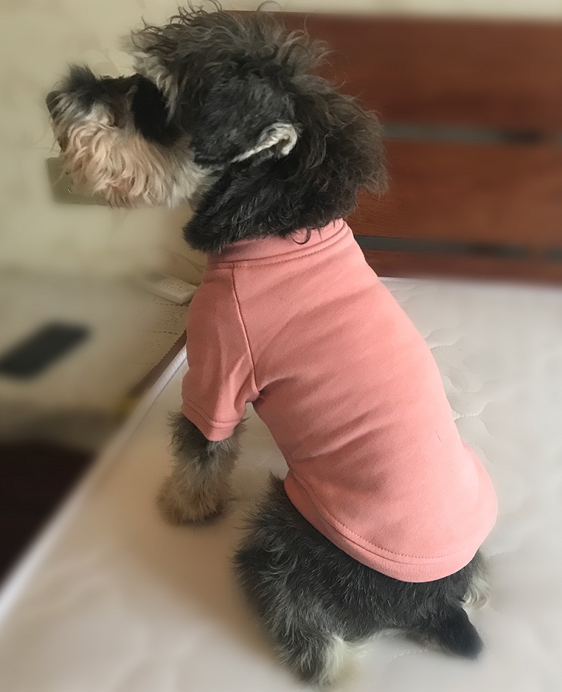 Dog Sweatshirts Pullover T-shirts
