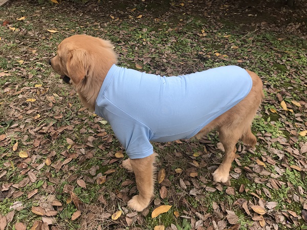 Dog Sweatshirts Pullover T-shirts
