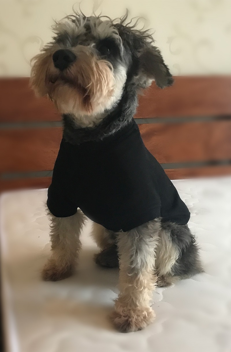 Dog Sweatshirts Pullover T-shirts