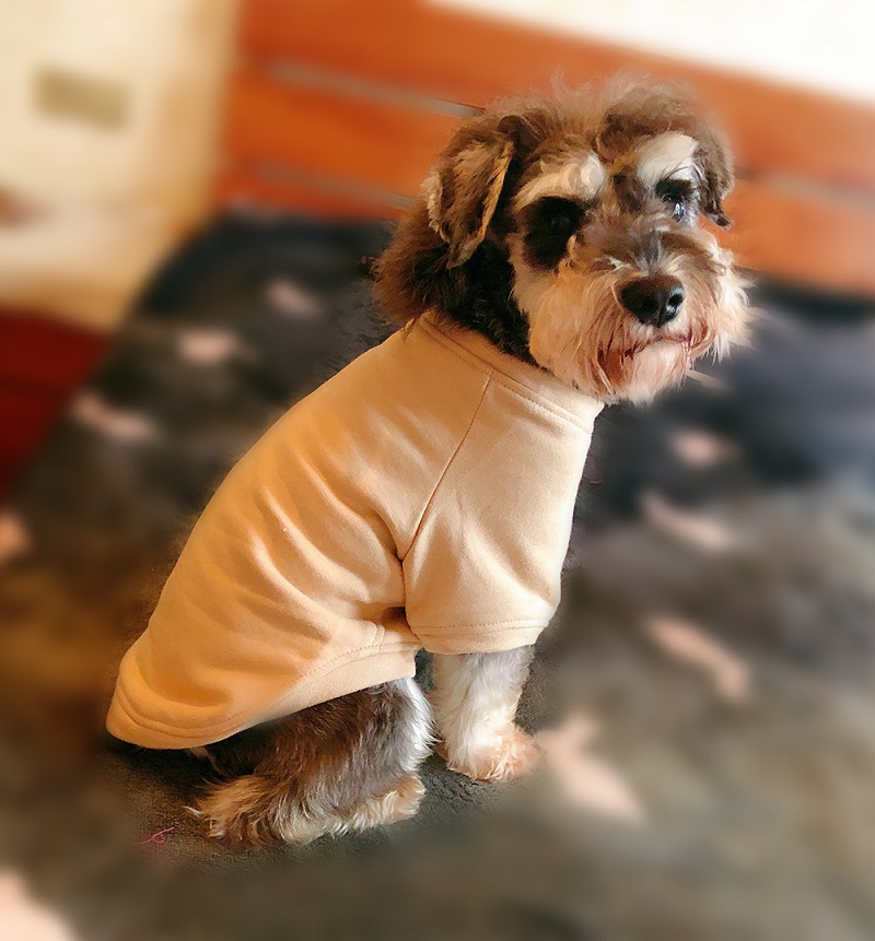 Dog Sweatshirts Pullover T-shirts