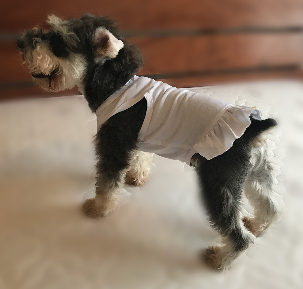 2019 Tee Dresses Tanks Top-1