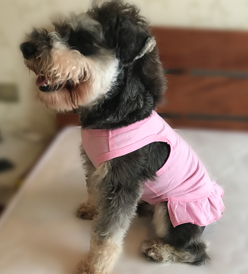 2019 Tee Dresses Tanks Top-1
