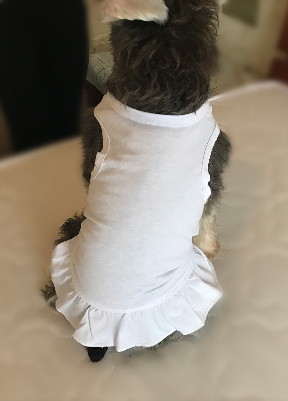 2019 Tee Dresses Tanks Top-1