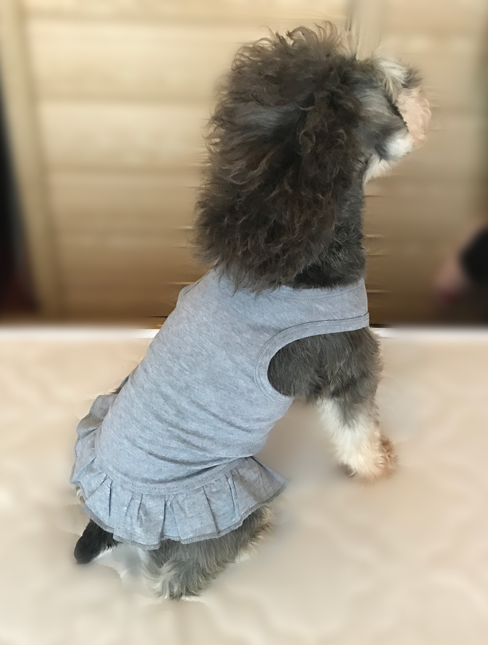 2019 Tee Dresses Tanks Top-1