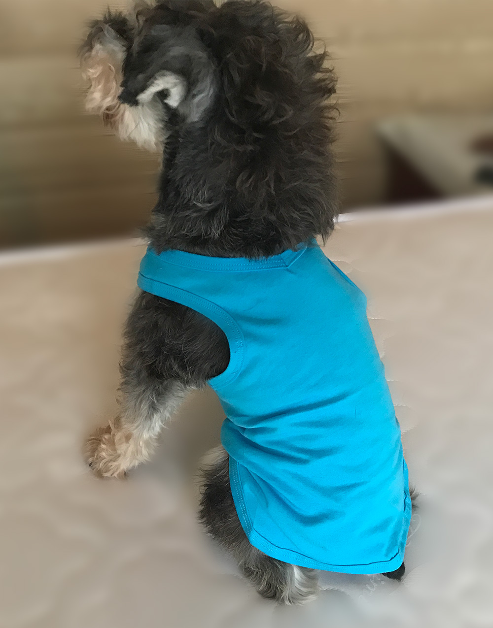 Blank Tanks Top T-shirts -1