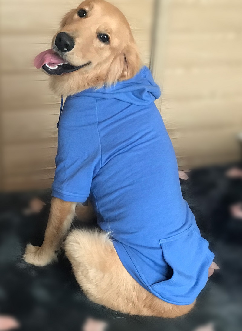 Hoodies Sweatshirt For Sm. La. Dach. Dog