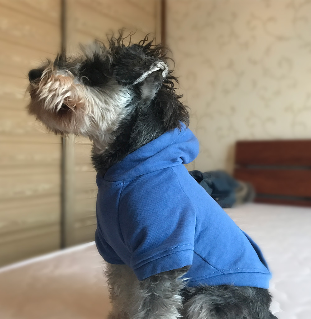 Hoodies Sweatshirt For Sm. La. Dach. Dog