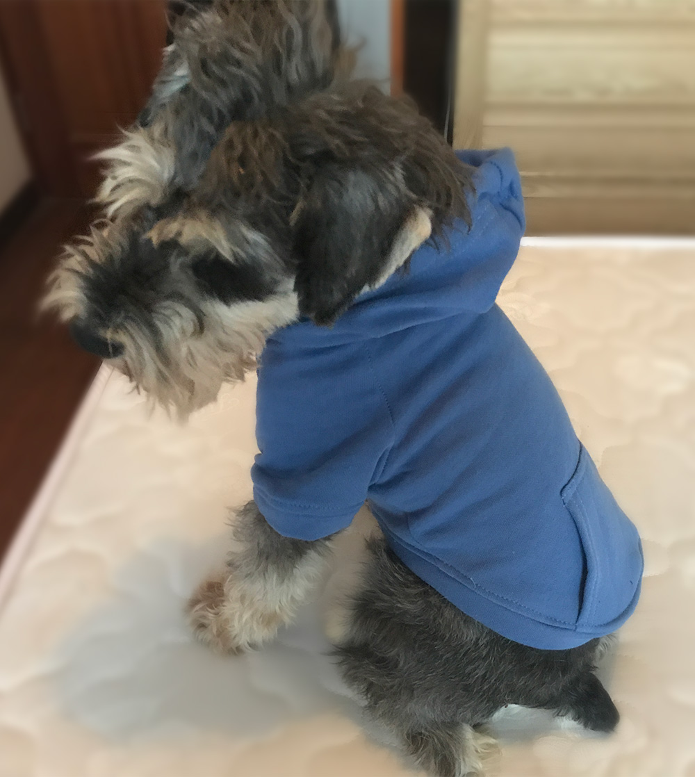 Hoodies Sweatshirt For Sm. La. Dach. Dog