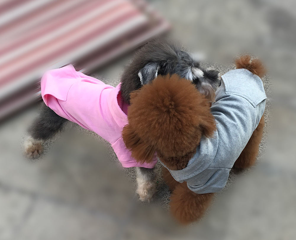 Hoodies Sweatshirt For Sm. La. Dach. Dog