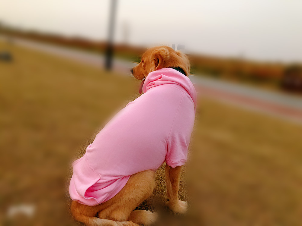 Hoodies Sweatshirt For Sm. La. Dach. Dog