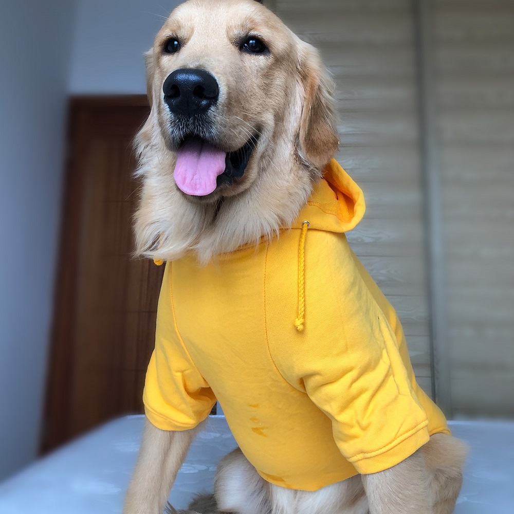 Hoodies Sweatshirt For Sm. La. Dach. Dog