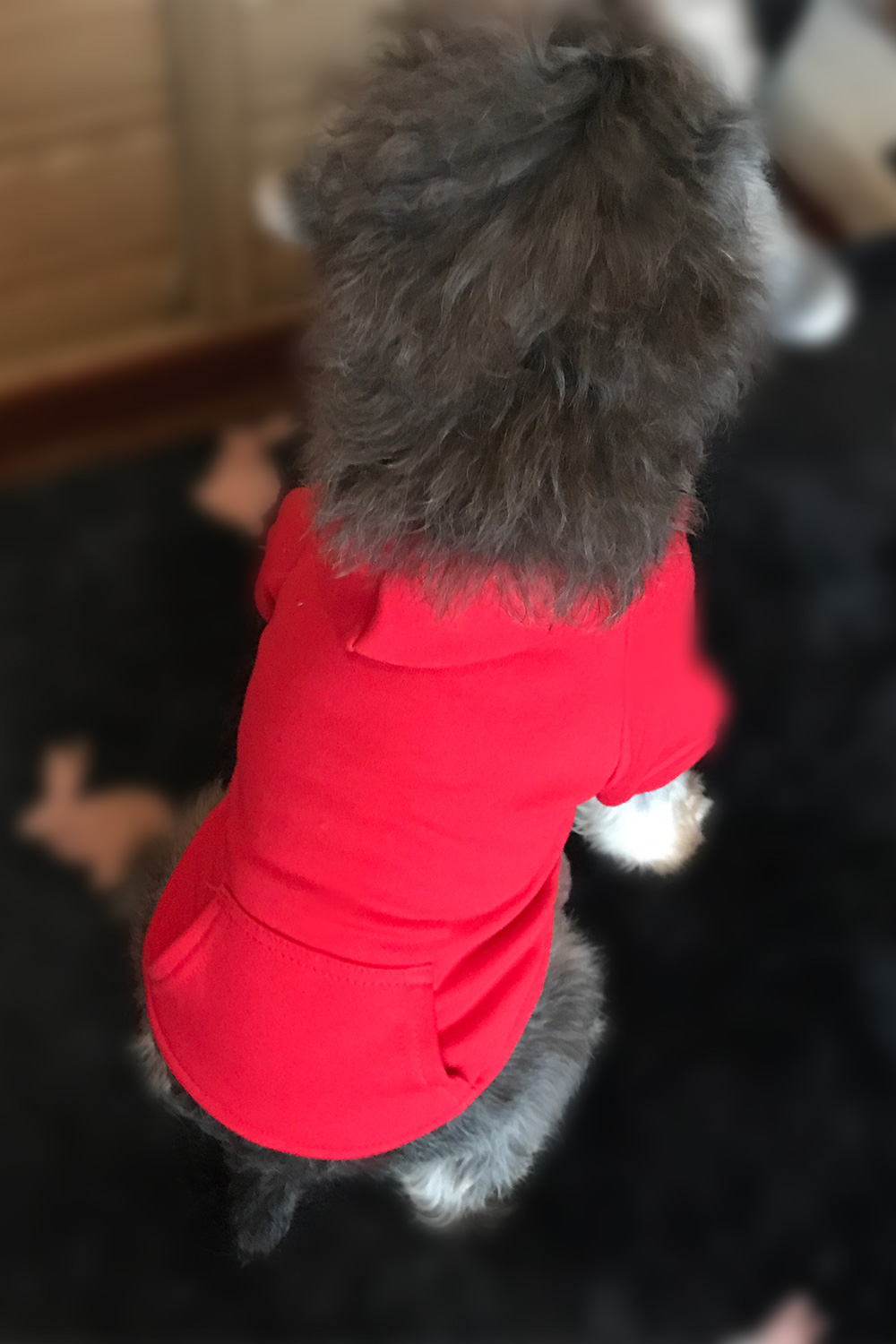 Hoodies Sweatshirt For Sm. La. Dach. Dog