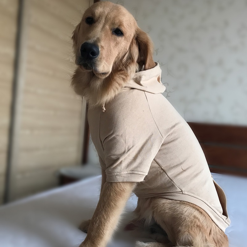 Hoodies Sweatshirt For Sm. La. Dach. Dog