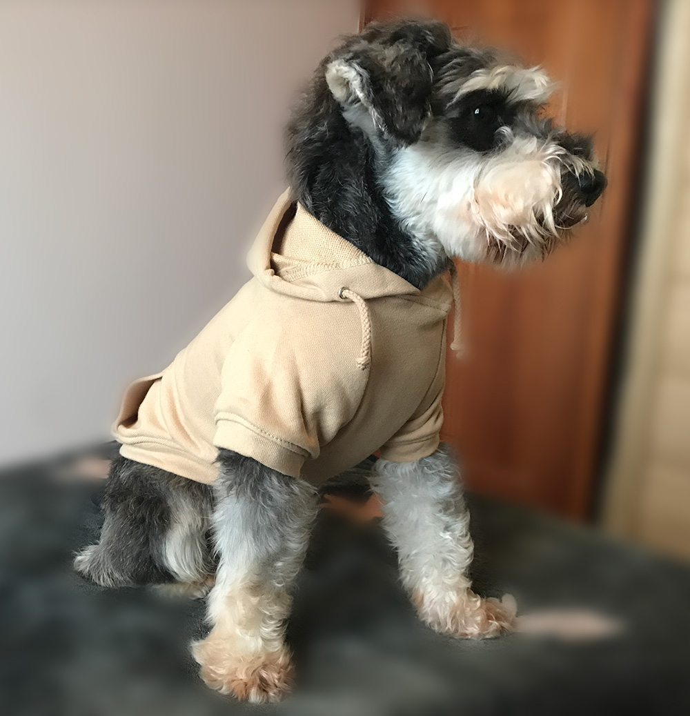 Hoodies Sweatshirt For Sm. La. Dach. Dog