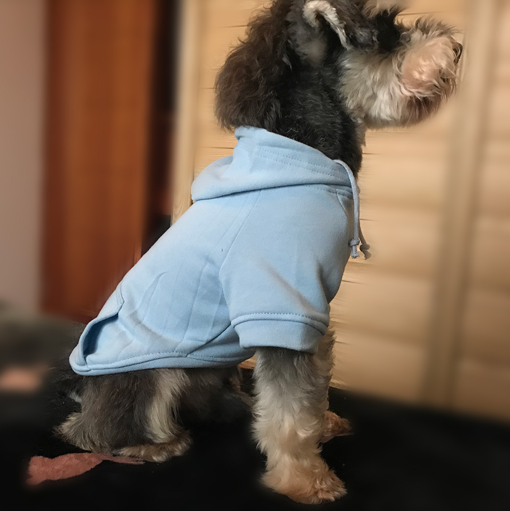 Hoodies Sweatshirt For Sm. La. Dach. Dog