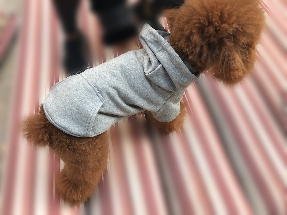 Hoodies Sweatshirt For Sm. La. Dach. Dog