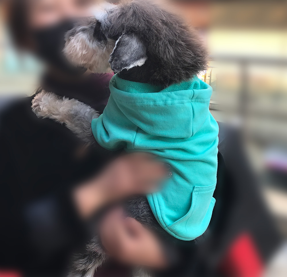 Hoodies Sweatshirt For Sm. La. Dach. Dog