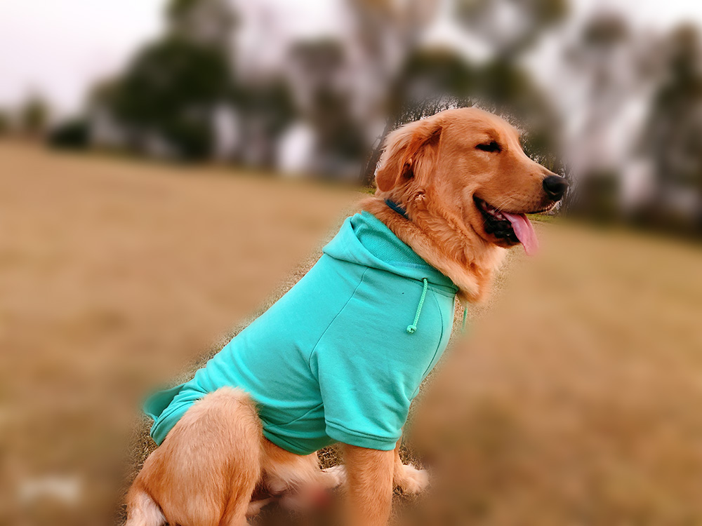 Hoodies Sweatshirt For Sm. La. Dach. Dog
