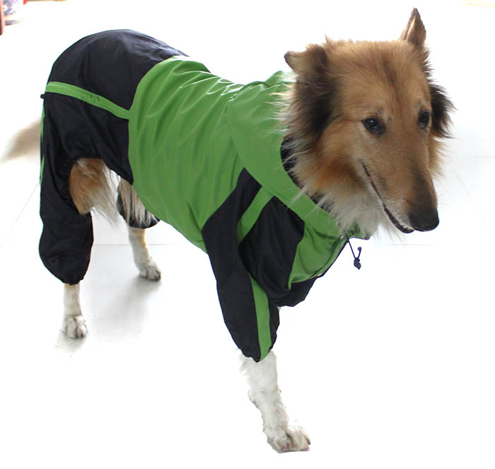 Lovelonglong Border Collie Dog Hooded Raincoat, Collie Rain Jacket Poncho  Waterproof Clothes with Hood Breathable 4 Feet Four Legs Rain Coats for