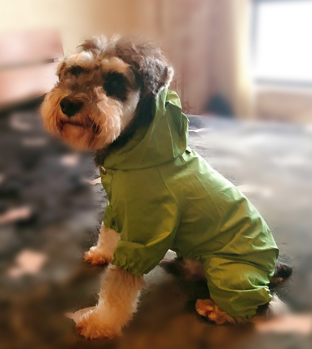 Raincoat For small medium large dogs Raincoat For small medium large dogs