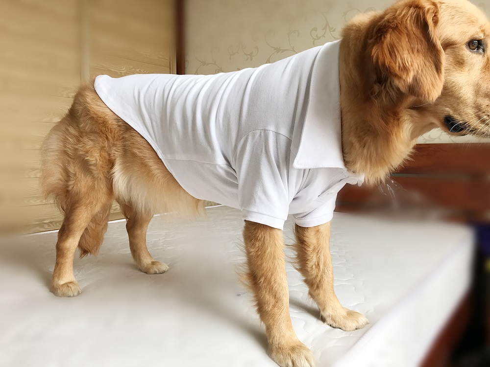 POLO for Large & Small Dogs 11 Color